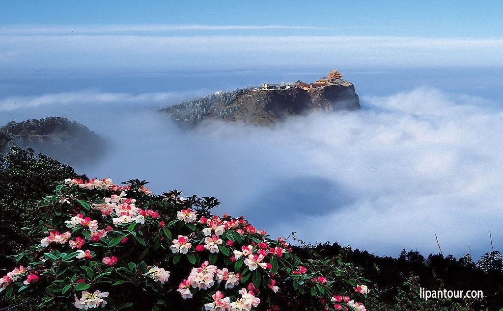 歡行全景-成都 九寨溝 尕里臺(tái)草原 峨眉山10日游